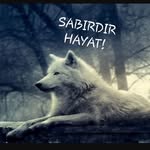 Ercan Eren Yilmaz - @ercan_yilmaz_ailesi - Instagram