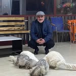 Ercan Karabulut - @ercan.karabulut.3572 - Instagram