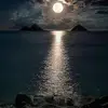 Ercan.ozdemir - @ercanozdemir.49 - TikTok