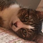 Ercan Soysal - @soysal.ercan - Instagram
