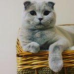 ercan Soysal - @ercsys77 - Instagram
