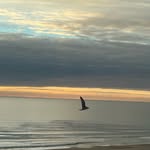 Ercan John Tore - @toreercan - Instagram