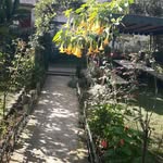 Ercan Töremen - @toremenercan - Instagram