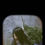 Ercilia Acosta - @tzercilia - Instagram