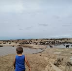 Ercilia Alvarez - Facebook