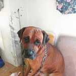 Ercilia Alvarez - @mionazira56 - Instagram