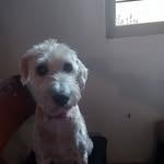 Ercilia Alvarez - @alvarez_ercilia - Instagram