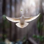 Patricia Ercilia Alvarez Saez - @patriciaerciliaalvarez - Instagram
