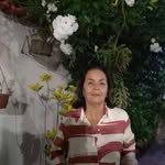 Ercilia Castro - @erciliadecastro - Instagram