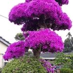 Ercília Flores - @ercilia.flores.35 - Instagram