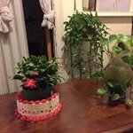 Ercilia Gómez - @ercilia.gomez.946 - Instagram