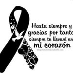 Ercilia Gonzalez - @ercilia.gonzalez - Instagram