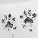 Ercilia Hernández - @erciliamhernandez - Instagram