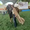 ceci - @erciliaramirez20 - TikTok