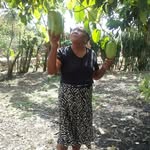 Ercilia Reyes Polanco - @ercilia_reyes_polanco - Instagram