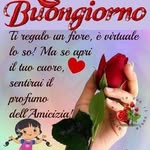 ercilia sanchez - @sanchez_ercilia - Instagram