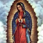 Ercilia Torres Vanegas - @erciliatorresvanegas - Instagram
