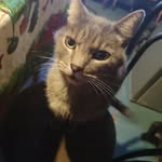 Ercilia Oliva Vasquez - @erciliateresaoliva - Instagram