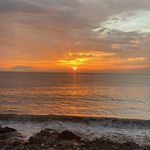 Erdal Akcay - @erdal_akcay - Instagram