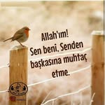 Erdal Bilgin - @erdalbilgin21 - Instagram