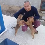 Erdal Ozdemir - @erdal.ozdemir.1485 - Instagram