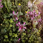 erdal yiğit - @erdalyigit11 - Instagram