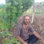 Erdal Yiğit - @erdalyigit285 - Instagram