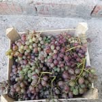 Erdal Yiğit - @erdal.yigit.52206 - Instagram