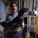 Erdal Yılmaz - Facebook