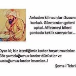 Erdem Çavus - @erdm_cvs - Instagram