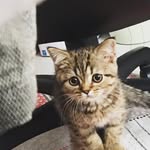 Erdem Uysal - @erdemuysaal - Instagram