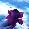 Erdem Uysal - @erdem.uysal77 - TikTok