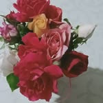 Erdem Varol - @erdem3567 - Instagram