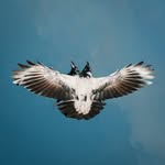Erdem Varol - @erdemvaroll - Instagram