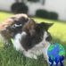 Erdina Chamberlain - Facebook