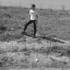 kral geri döndü - @erdogancinar0 - TikTok