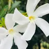 Erin McCord - @erin.mccord7 - TikTok