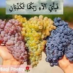 Erem khan - @khan.erem - Instagram