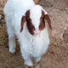 acı - @eren_aci - TikTok