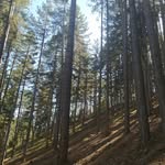 eren doğan - @eren_dogan_33 - Instagram
