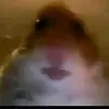 yasin - @elias__eren__22009 - TikTok
