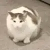 Eren Ergin - @eren.ergin0 - TikTok