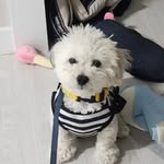 김에렌 - @eren._.kim - Instagram