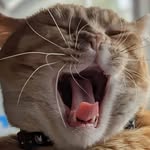 Eren Rodriguez - @wondernerp - Instagram