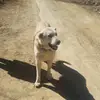 ÜNSAL_EREN_46 - @erenunsal4646 - TikTok