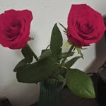 Erendida Perez Lopez - @erendidaperez - Instagram