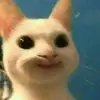 meredidmariepreciadopuga - @meredid1415 - TikTok