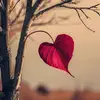 erendida eleria reyes - @erendida.eleria.re - TikTok
