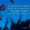 Erendida Eleria Reyes - @erendida.eleria.r - TikTok