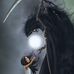 Erendida Salazar - Facebook